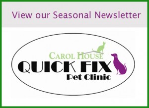 Carol House Quick Fix Newsletter