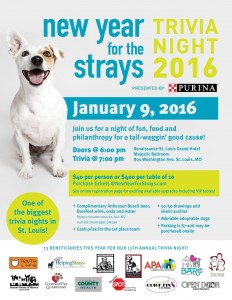 New Year For The Strays Trivia Night